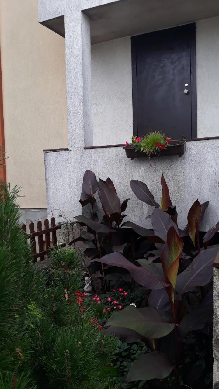 Sauliaus Apartamentai Panevėžys Dış mekan fotoğraf